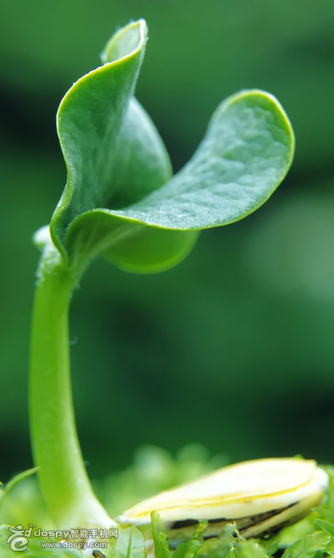 国家表彰抗疫先进个人名单